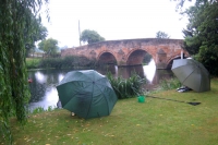 gardenFishing