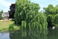 riverNene